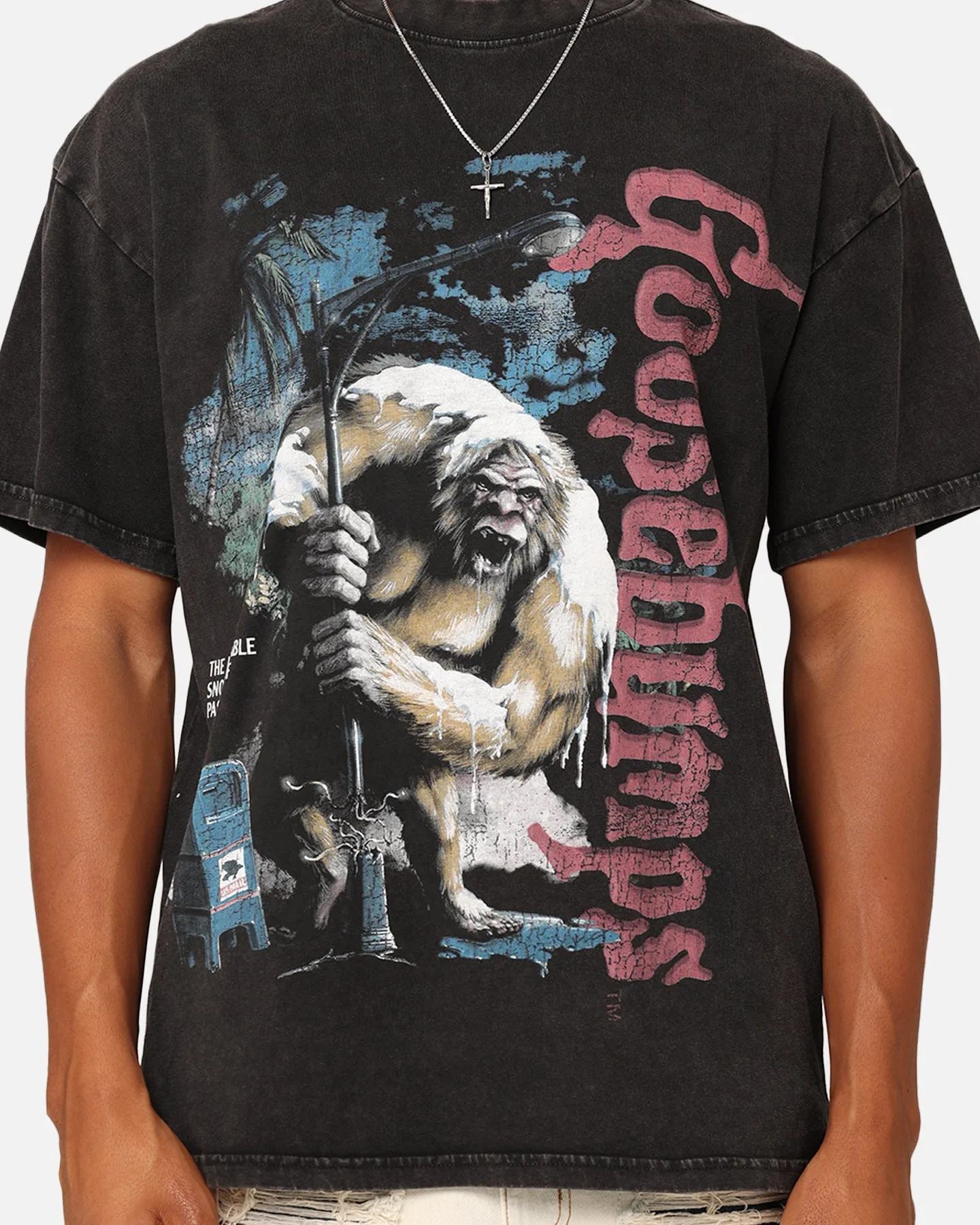 American Thrift X Goosebumps Abominable Snowman Vintage T-Shirt Black Wash