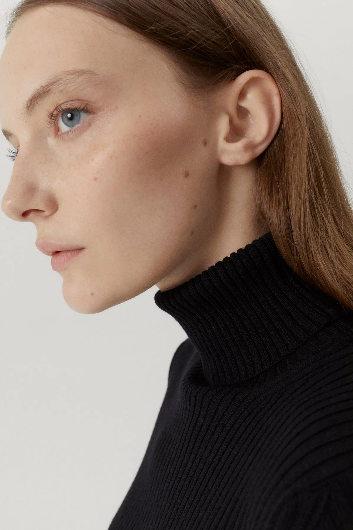 The Merino Wool Ribbed Roll neck